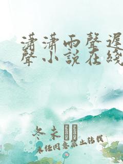 潇潇雨声迟2有声小说在线收听