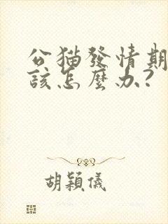 公猫发情期乱尿该怎么办?