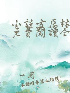 小说方辰林雪妍免费阅读全文