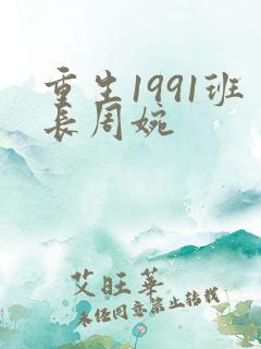 重生1991班长周婉