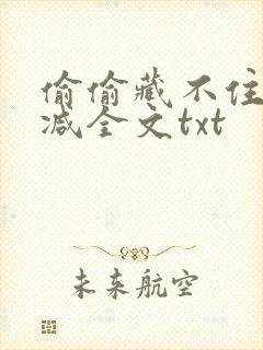 偷偷藏不住无删减全文txt