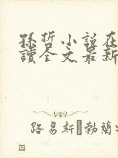 孙哲小说在线阅读全文最新