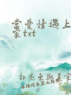 当爱情遇上科学家txt