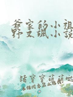 爷家的小祖宗又野又飒小说