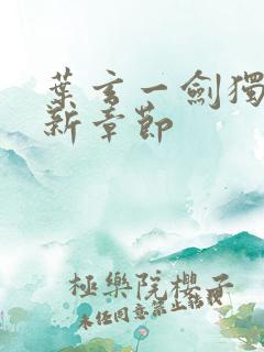 叶玄一剑独尊最新章节