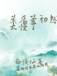 叶辰萧初然更新太慢了