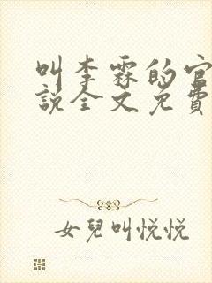 叫李霖的官场小说全文免费阅读