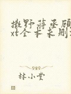 撒野蒋丞顾飞txt全本未删减下载