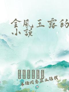 金风玉露的全部小说
