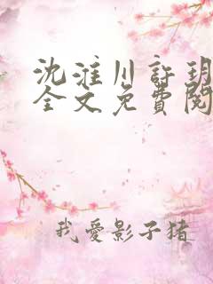 沈淮川许玥小说全文免费阅读