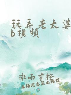 玩弄老太婆bbb视频