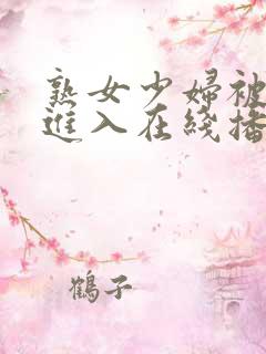 熟女少妇被猛烈进入在线播放