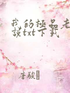 我的极品老婆小说txt下载
