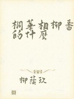 桐华相柳番外写的什么