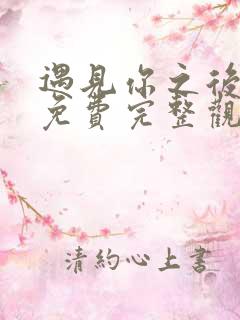 遇见你之后短剧免费完整观看高清