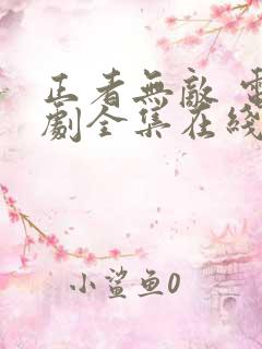 正者无敌 电视剧全集在线看