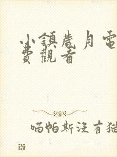 小镇岁月电影免费观看