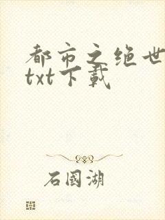 都市之绝世高手txt下载