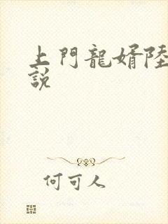 上门龙婿陆凡小说