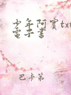 少年阿宾txt电子书
