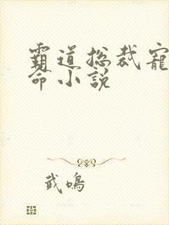 霸道总裁宠妻如命小说