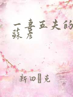 一妻五夫的小说苏彦