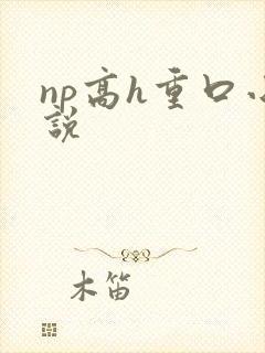 np高h重口小说