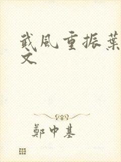 武风重振叶天全文