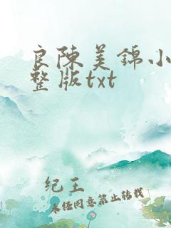 良陈美锦小说完整版txt