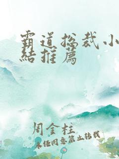 霸道总裁小说完结推荐