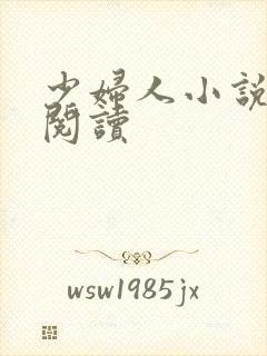 少妇人小说免费阅读
