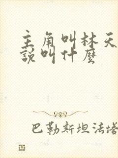主角叫林天的小说叫什么