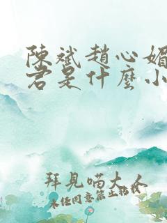 陈斌赵心媚高婉君是什么小说