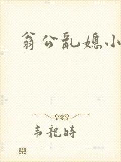 翁公乱媳小说