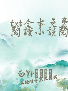 txt全本免费阅读小说阅读