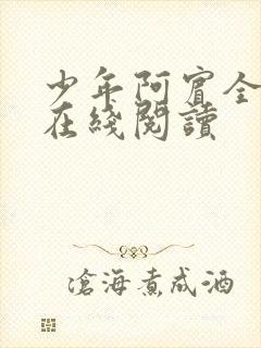 少年阿宾全目录在线阅读