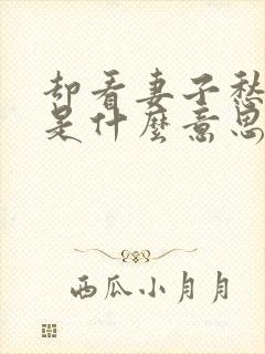 却看妻子愁何在是什么意思