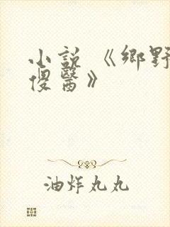 小说 《乡野小傻医》