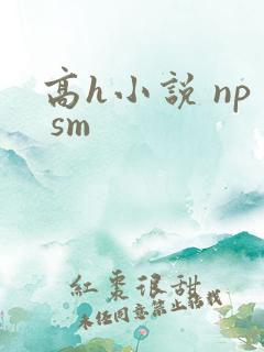 高h小说 np sm