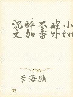 沉醉不醒小说全文加番外txt