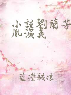 小说刘兰芳赵匡胤演义