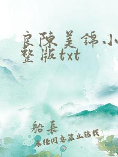 良陈美锦小说完整版txt