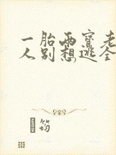 一胎两宝老婆大人别想逃全文免费阅读