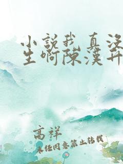 小说我真没想重生啊陈汉升阅读