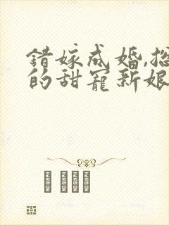 错嫁成婚,总裁的甜宠新娘