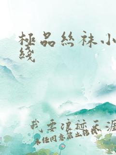 极品丝袜小说在线