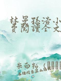 林曼孙浩小说免费阅读全文最新章节