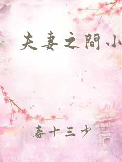 夫妻之间小说网