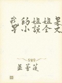 我的姐姐是大明星小说全文免费阅读笔趣阁