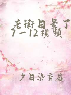 老卫日晕了淑容7一12视频